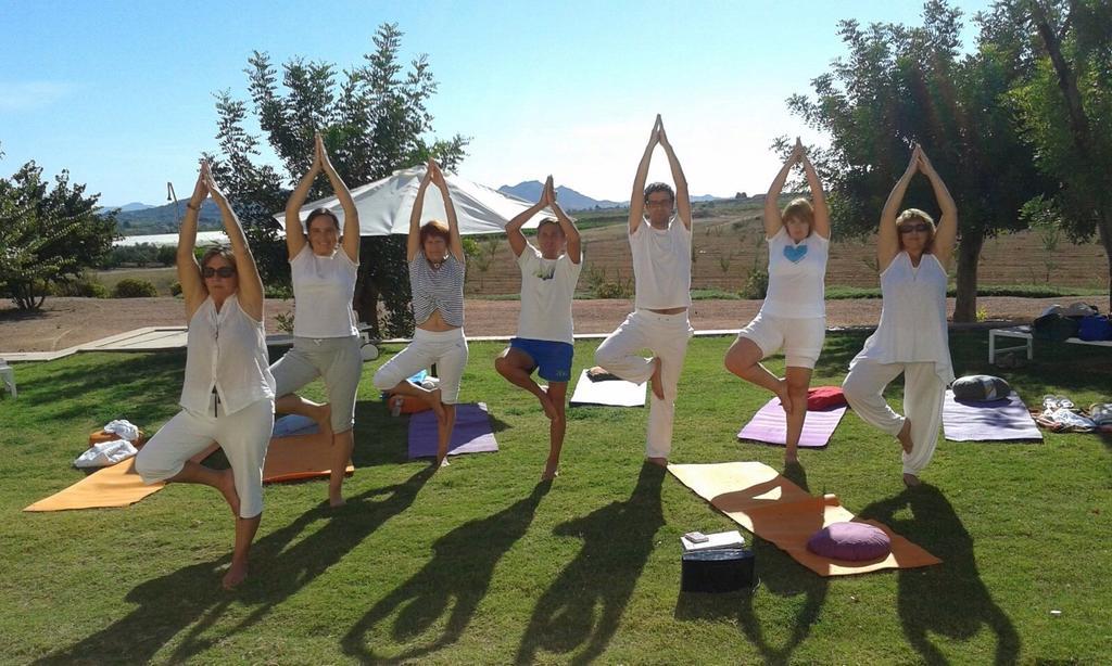 Hotel Spa La Romana, The Originals Relais エクステリア 写真